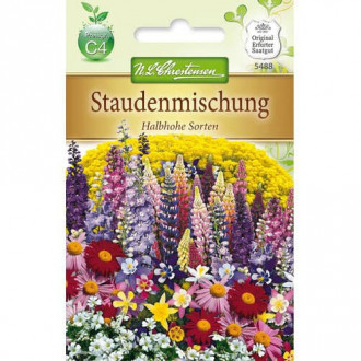 Flori perene, mix multicolor imagine 11