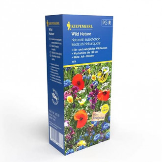 Flori Wild Nature, mix multicolor imagine 10