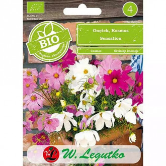 Flururaș Kosmos, mix multicolor imagine 11