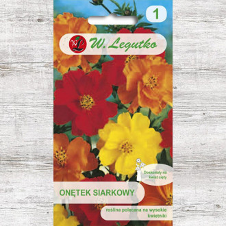 Fluturaș, mix multicolor Legutko imagine 6