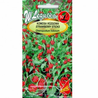 Fragă tătărească imagine 6