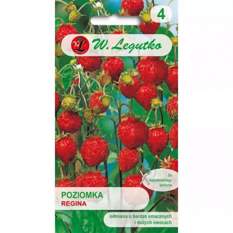 Fragi Regina imagine 6