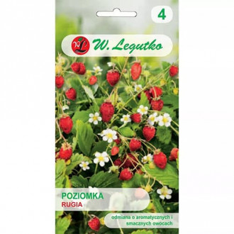 Fragi Rugia imagine 7