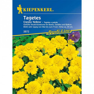 Тагетес Cresto Yellow изображение 15
