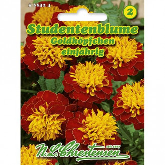 Тагетес нисък Goldköpfchen       изображение 1