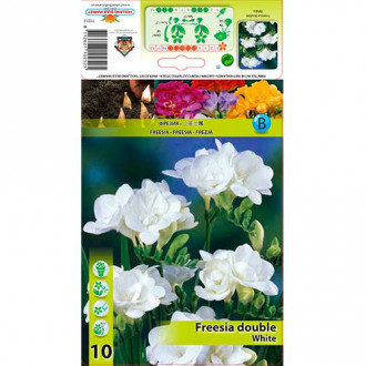 Frezja Double White interface.image 5