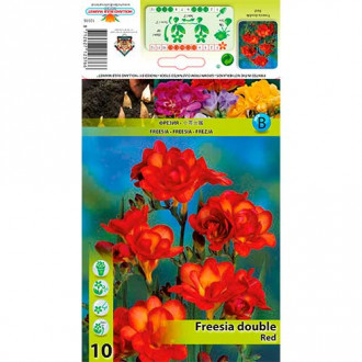 Frezja Double Red interface.image 6