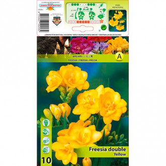 Frezja Double Yellow interface.image 3