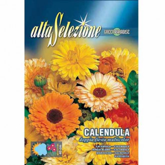 Găbenele Sărbătoare dublă, mix multicolor imagine 3