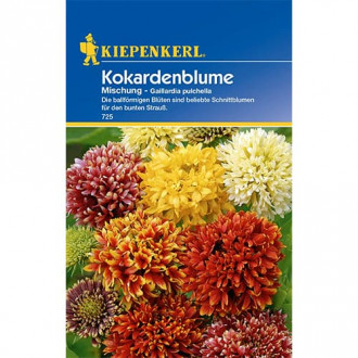 Gaillardia nadobna, mix kolorow interface.image 1