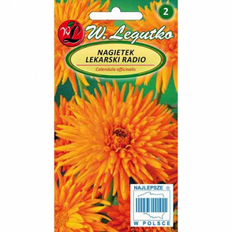 Gălbenele Radio imagine 1