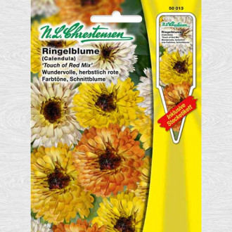 Gălbenele Touch of Red Mix imagine 16