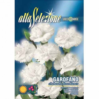 Garoafă cu flori albe imagine 3