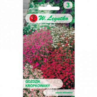 Garoafa pătată, Mix Legutko imagine 16