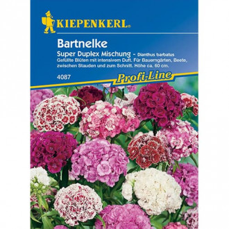 Garoafă turcească Duplika imagine 5