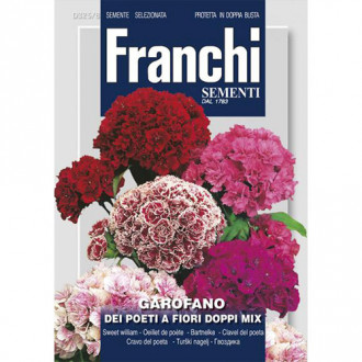 Garofiță de grădină cu flori duble, mix multicolor imagine 6