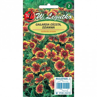 Гайлардия Dzianwa, смес изображение 3