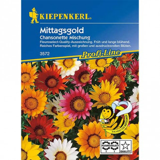 Gazania (Floarea comoară) Chansonette, mix multicolor imagine 8