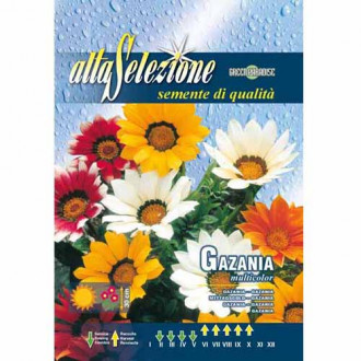 Gazania (Floarea comoară) mix multicolor imagine 5