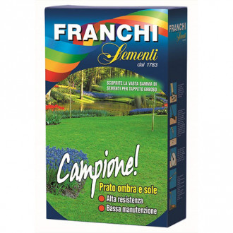 Gazon Franchi Sementi Campione imagine 9