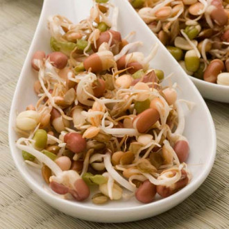 Germeni amestec picant imagine 15