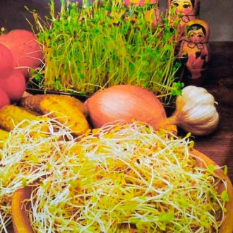 Germeni amestec rusesc imagine 7