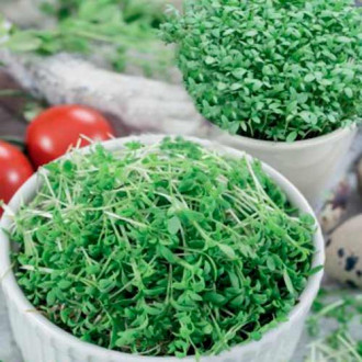 Germeni Cardamon imagine 5