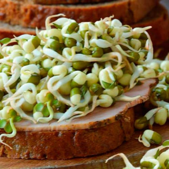 Germeni Fasole Mung imagine 10