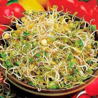 Germeni Linte imagine 8