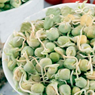 Germeni Mazăre imagine 16