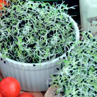 Germeni Praz imagine 7