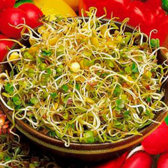 Germeni Ridiche și Linte imagine 4