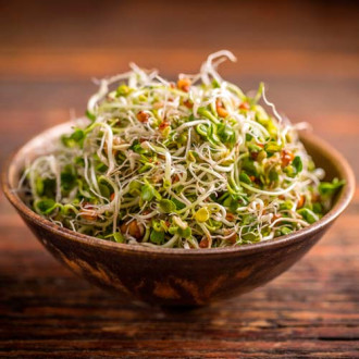 Germeni Schinduf imagine 18