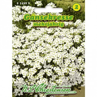 Gesiowka (Arabis) kaukaska interface.image 4