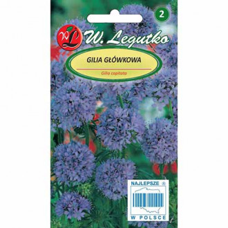 Gilia albastră imagine 2