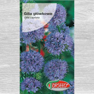 Gilia główkowa interface.image 2