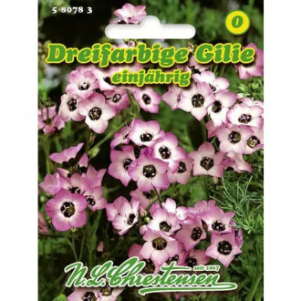 Gilia Tricolor imagine 1