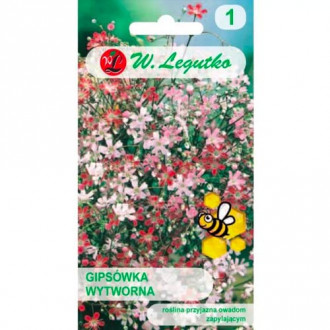 Гипсофила, Mix Legutko изображение 9
