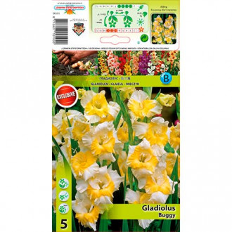 Gladiola (Mieczyk) Buggy interface.image 16