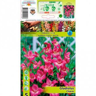 Gladiola (Mieczyk) Charm interface.image 14