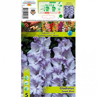Gladiola (Mieczyk) Sweet Blue interface.image 8