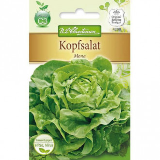 Главеста салата Mona изображение 13