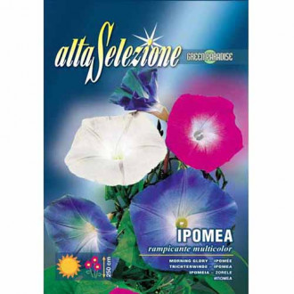 Gloria de dimineață urcătoare, mix multicolor imagine 1