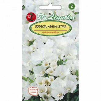 Godetia albă imagine 4