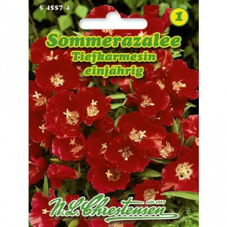 Godetia Deep Crimson imagine 3