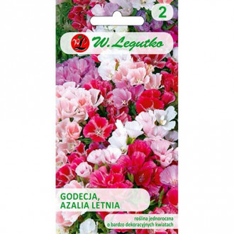 Godetia, mix multicolor imagine 2