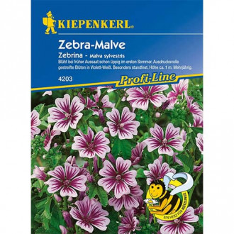 Слез Zebrina изображение 7