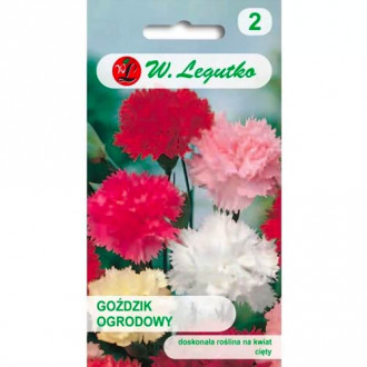 Градински карамфил, смес Legutko изображение 13