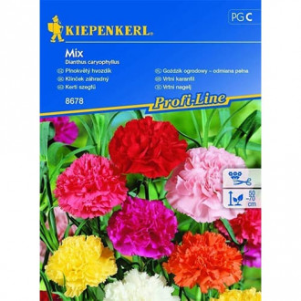 Градински карамфил, Mix изображение 18