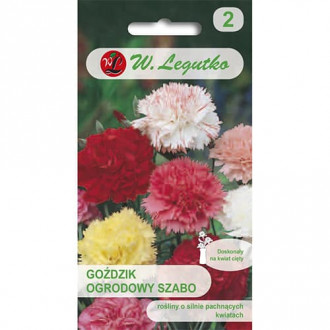 Градински карамфил Szabo, смес изображение 10